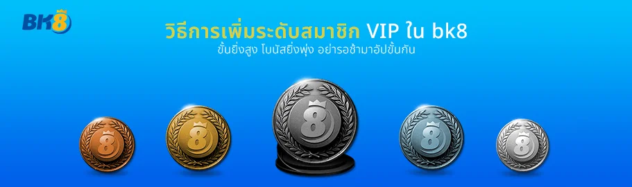 วิธีการเพิ่มระดับ bk8 vip